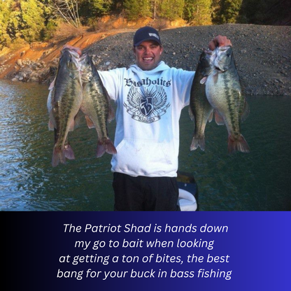 Patriot Shad Paddle Tail Swimbaits - HD Trout